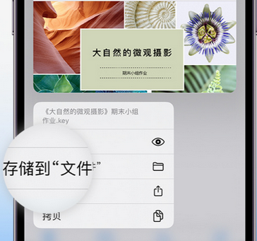 靖州apple维修中心分享iPhone文件应用中存储和找到下载文件