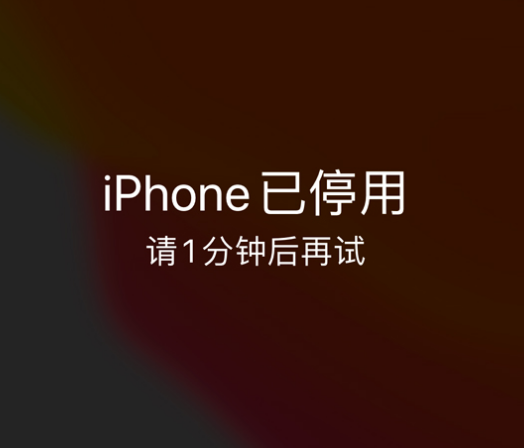 靖州苹果手机维修分享:iPhone 显示“不可用”或“已停用”怎么办？还能保留数据吗？ 