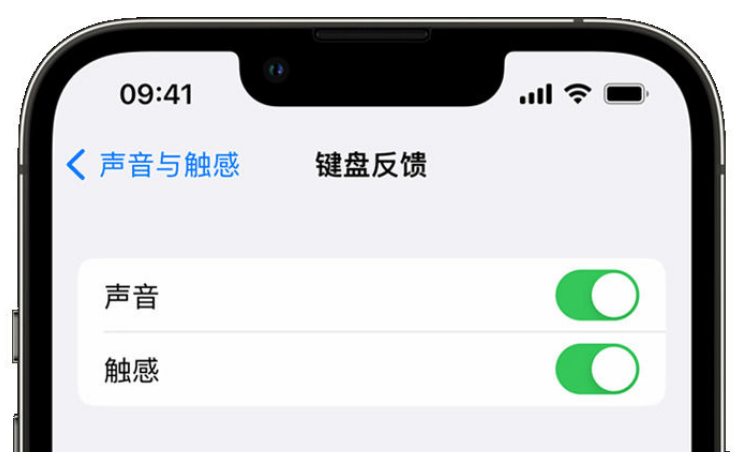 靖州苹果手机维修分享iPhone 14触感键盘使用方法 