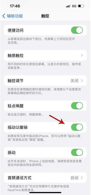 靖州苹果手机维修分享iPhone手机如何设置摇一摇删除文字 